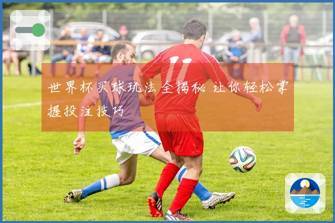 世界杯买球玩法全揭秘 让你轻松掌握投注技巧
