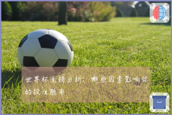 世界杯竞猜分析：哪些因素影响你的投注胜率