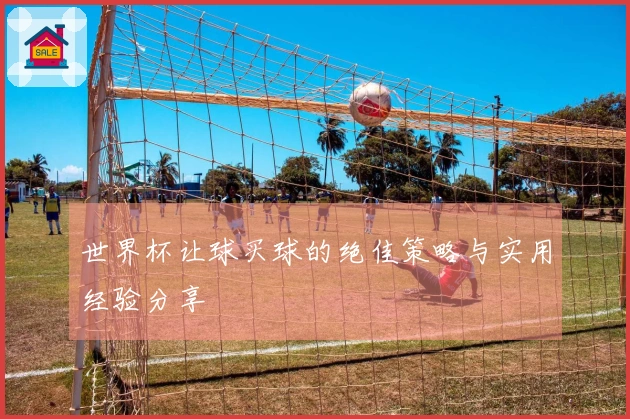 世界杯让球买球的绝佳策略与实用经验分享