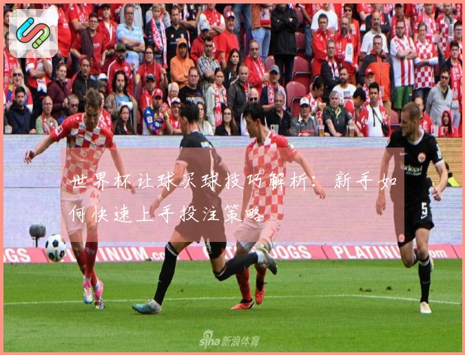 世界杯让球买球技巧解析：新手如何快速上手投注策略