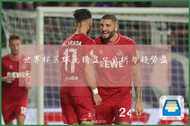 世界杯买球竞猜盘口分析与趋势盘点
