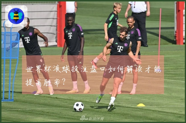 世界杯滚球投注盘口如何解读才能提高胜率？