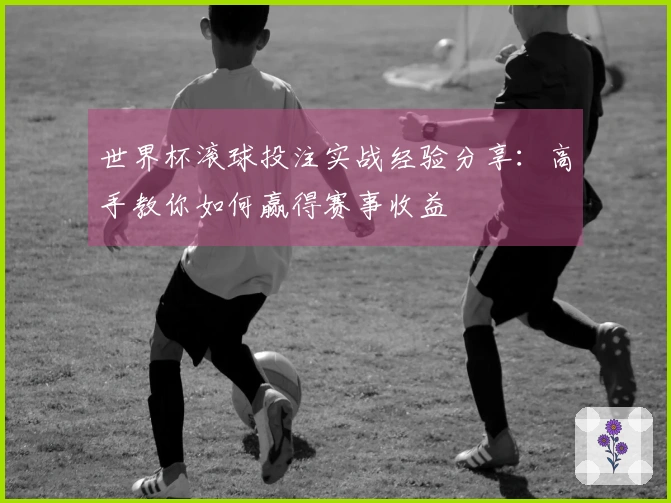 世界杯滚球投注实战经验分享：高手教你如何赢得赛事收益