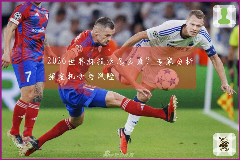 2026世界杯投注怎么看？专家分析掘金机会与风险
