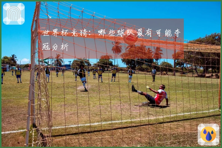 世界杯竞猜：哪些球队最有可能夺冠分析