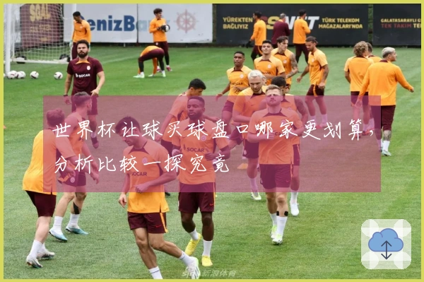 世界杯让球买球盘口哪家更划算，分析比较一探究竟