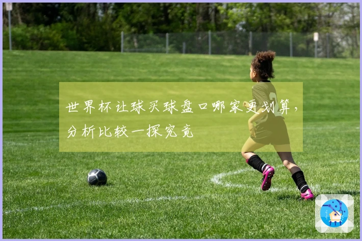 世界杯让球买球盘口哪家更划算，分析比较一探究竟