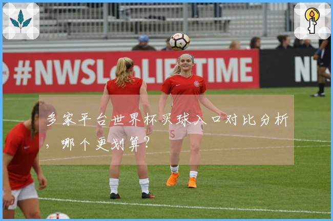 多家平台世界杯买球入口对比分析，哪个更划算？