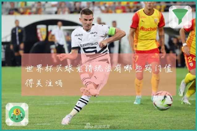 世界杯买球竞猜玩法有哪些窍门值得关注吗