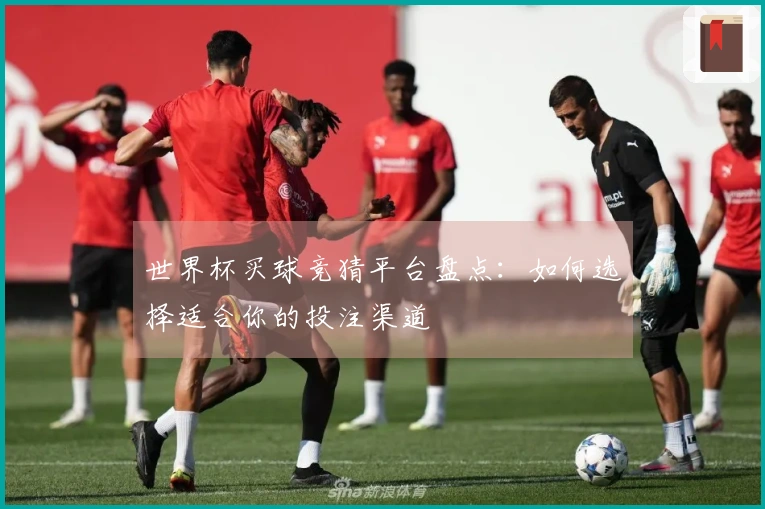 世界杯买球竞猜平台盘点：如何选择适合你的投注渠道