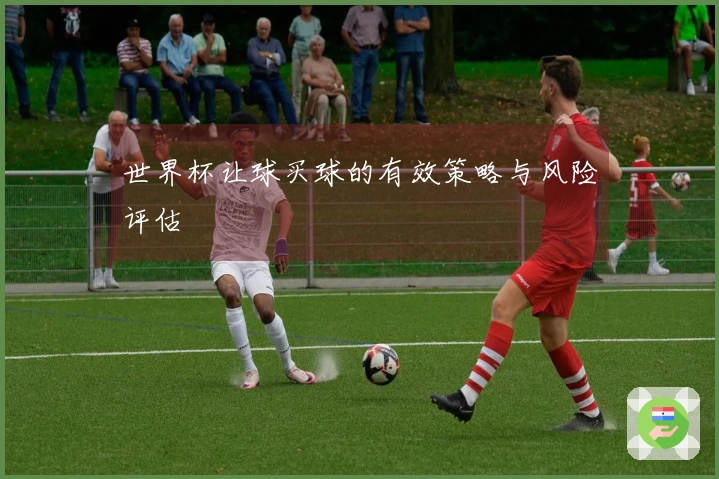 世界杯让球买球的有效策略与风险评估