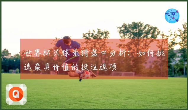 世界杯买球竞猜盘口分析：如何挑选最具价值的投注选项