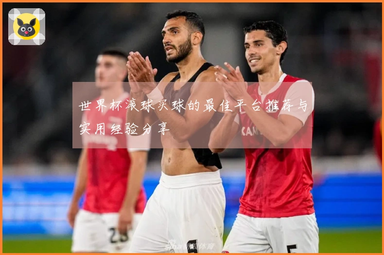 世界杯滚球买球的最佳平台推荐与实用经验分享