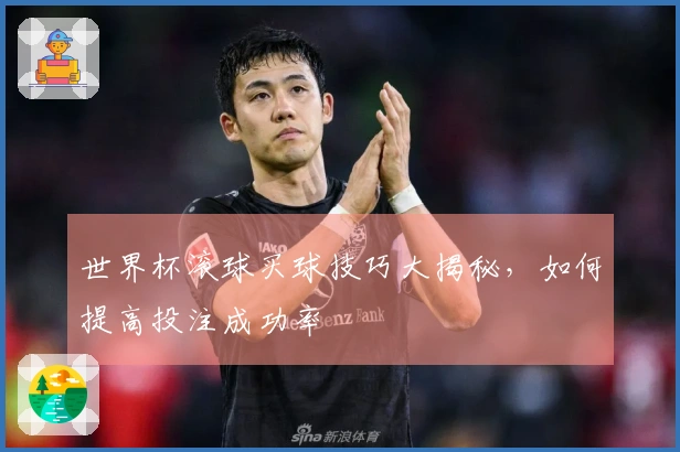 世界杯滚球买球技巧大揭秘，如何提高投注成功率