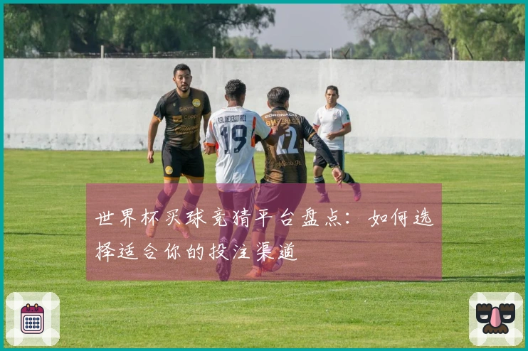 世界杯买球竞猜平台盘点：如何选择适合你的投注渠道